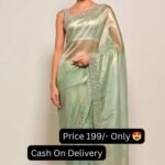 Pista Color Tissue Cut Dana Embroidery Work On Border Saree With Blouse
