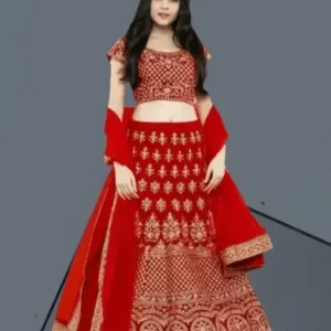 Red Color Wedding Wear Embroidered Bridal Lehenga Choli