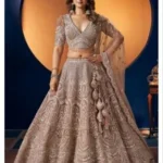 Latest Designer Brown Fancy Weeding Lehenga Choli