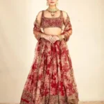 Red Organza With Digital Print and Embroidery Worked Lehenga Choli